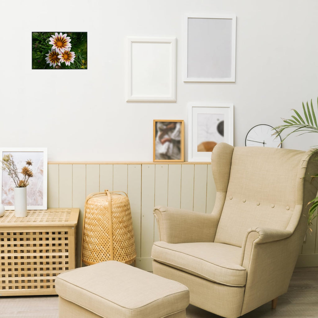 Gazania Flower Poster Treasure Flower Print Botanical Wall Art for Living Room Home Decor