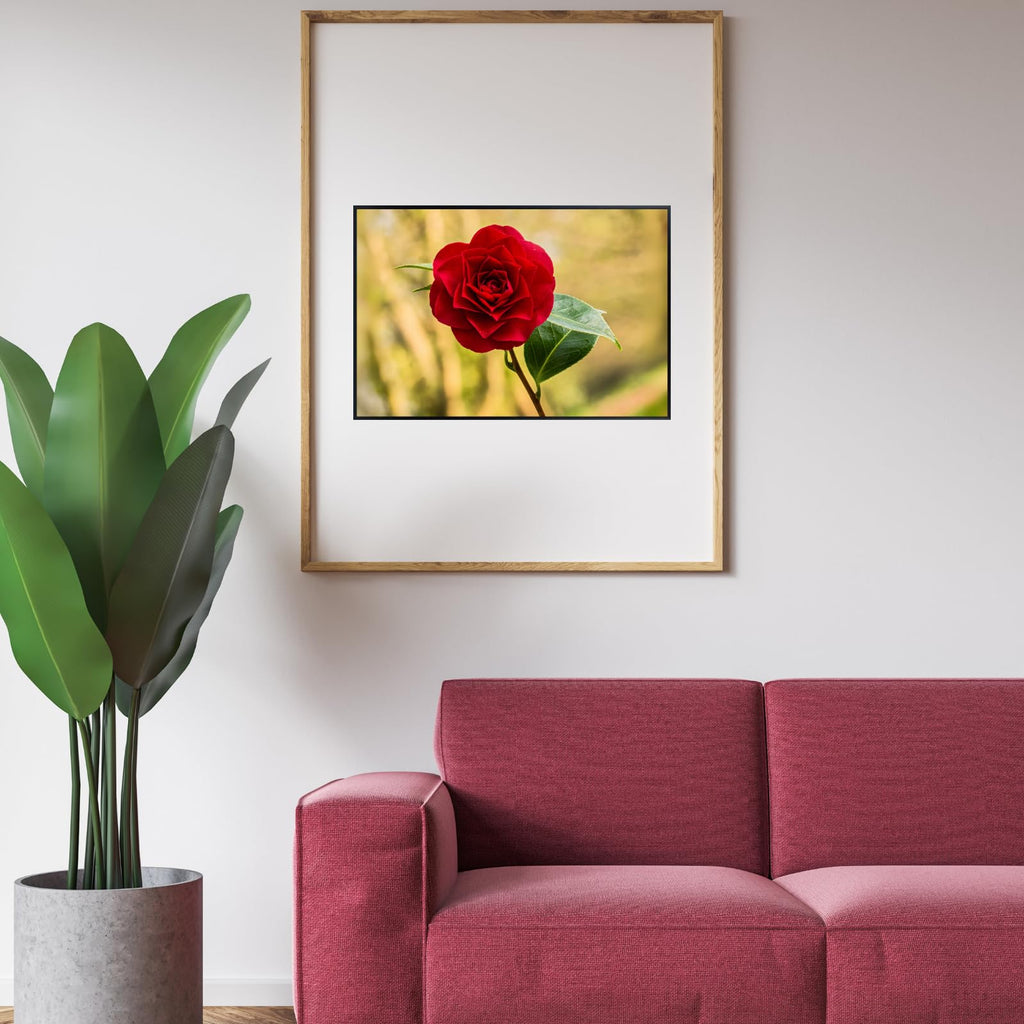 Camellia Flower Poster – Blon van een Camellia Botanical Wall Art Print for Home Decor, Living Room, Bedroom, or Office – Elegant Floral Nature Artwork