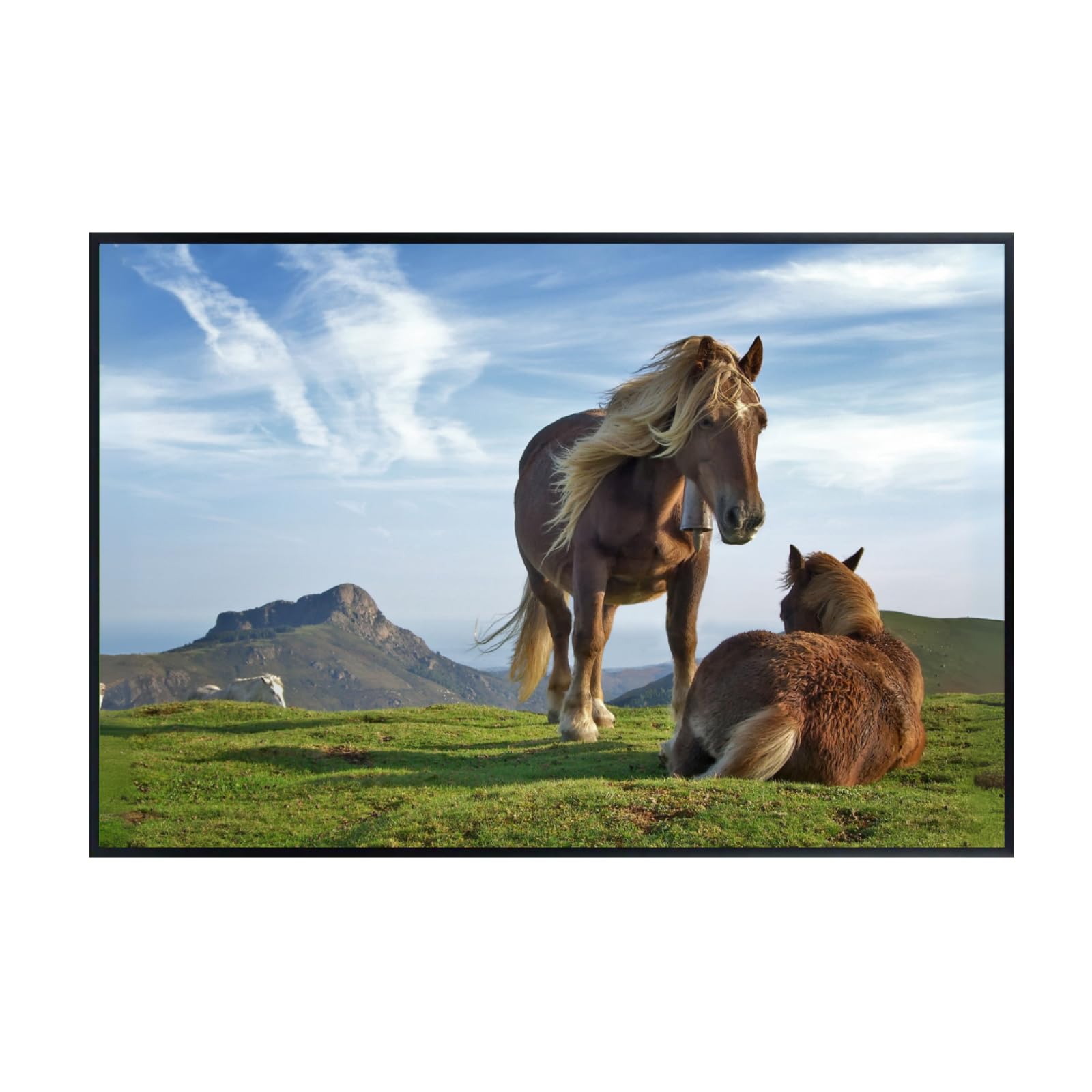 Biandintz eta Zaldiak Horse Wall Art Poster – Wildlife Nature Print for Living Room, Bedroom, Office, or Study Décor