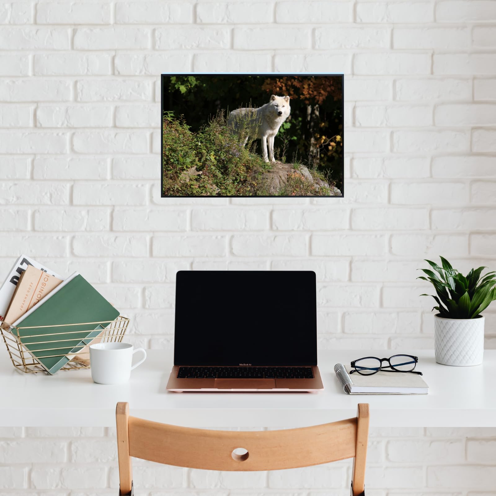 Canis Lupus Wolf Poster – Wildlife Wall Art Print for Living Room, Bedroom, Office, or Study Décor