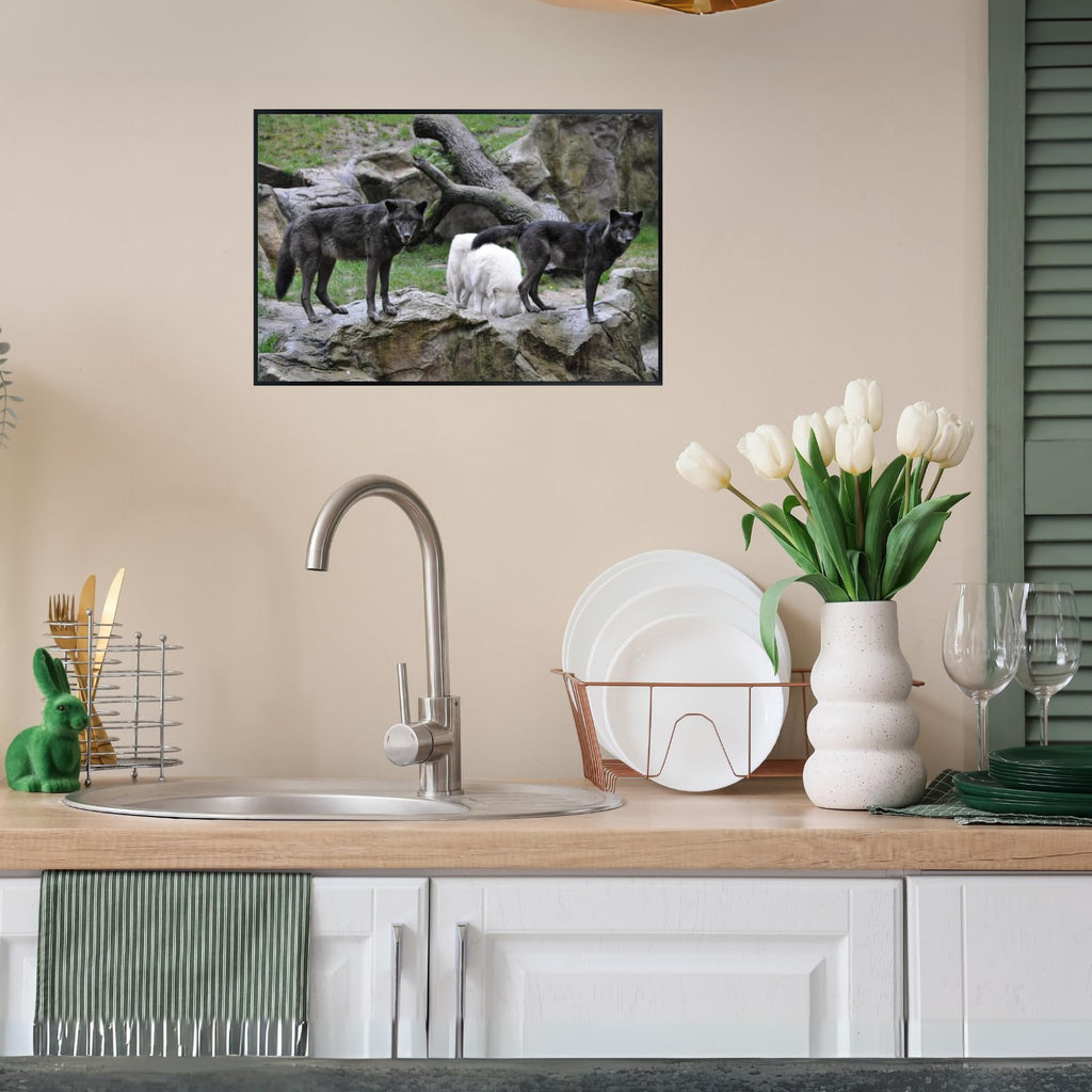 Lupus Wolf Poster – Wilderness Wildlife Wall Art Print for Living Room, Bedroom, Office, or Study Décor