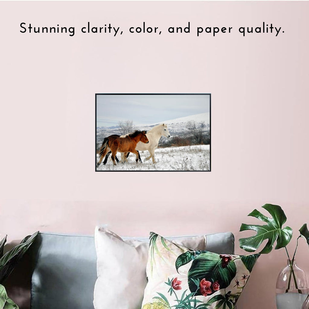Wild Horses Poster – Scenic Wildlife Nature Wall Art Print for Living Room, Bedroom, Office, Home Decor or Study places