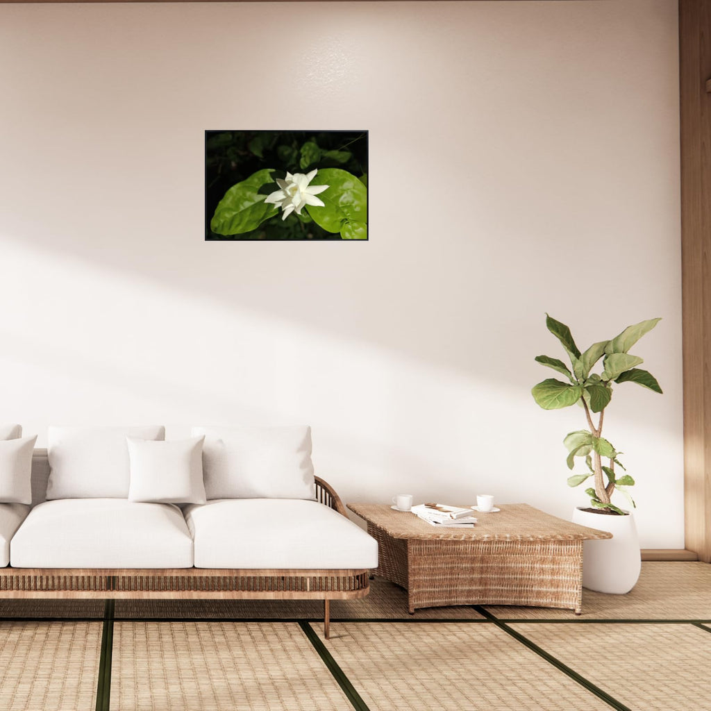 Jasminum Sambac Wall Art Poster – Floral Botanical Print, Elegant Home Decor for Living Room, Bedroom, Office, or Nursery