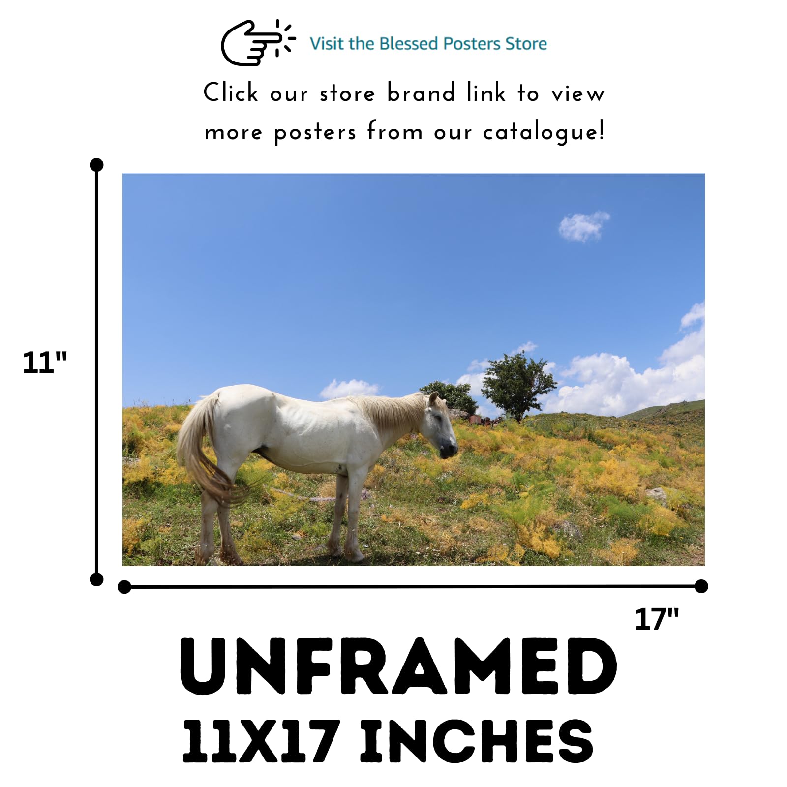 Horse Poster – Nature Scenic Wall Art Print for Living Room, Bedroom, Office, or Home Decor