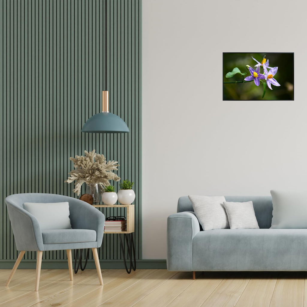 Solanum Trilobatum Poster – Botanical Wall Art Print for Home Decor, Living Room, Bedroom, or Office – Elegant Floral Nature Artwork