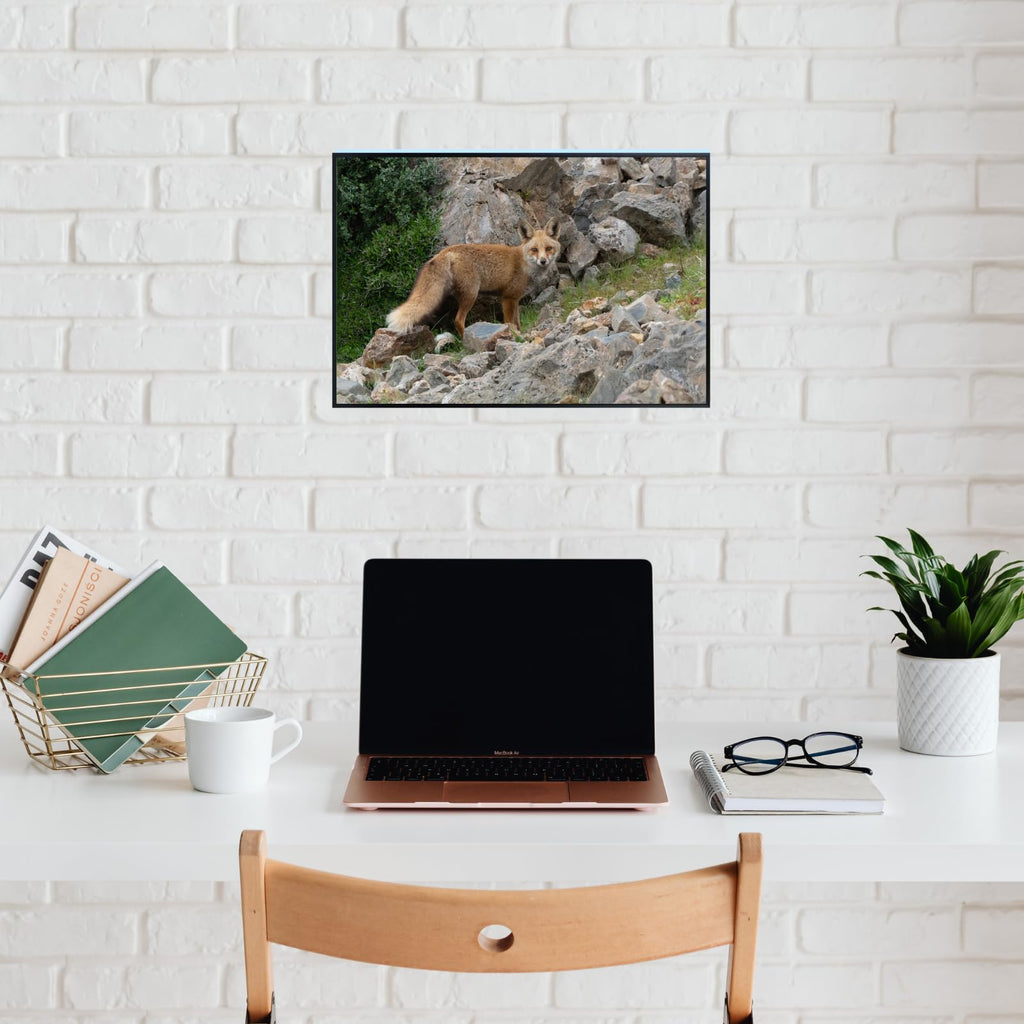 Renard Fox Poster – Wildlife Nature Wall Art Print for Living Room, Bedroom, Office, or Study Décor