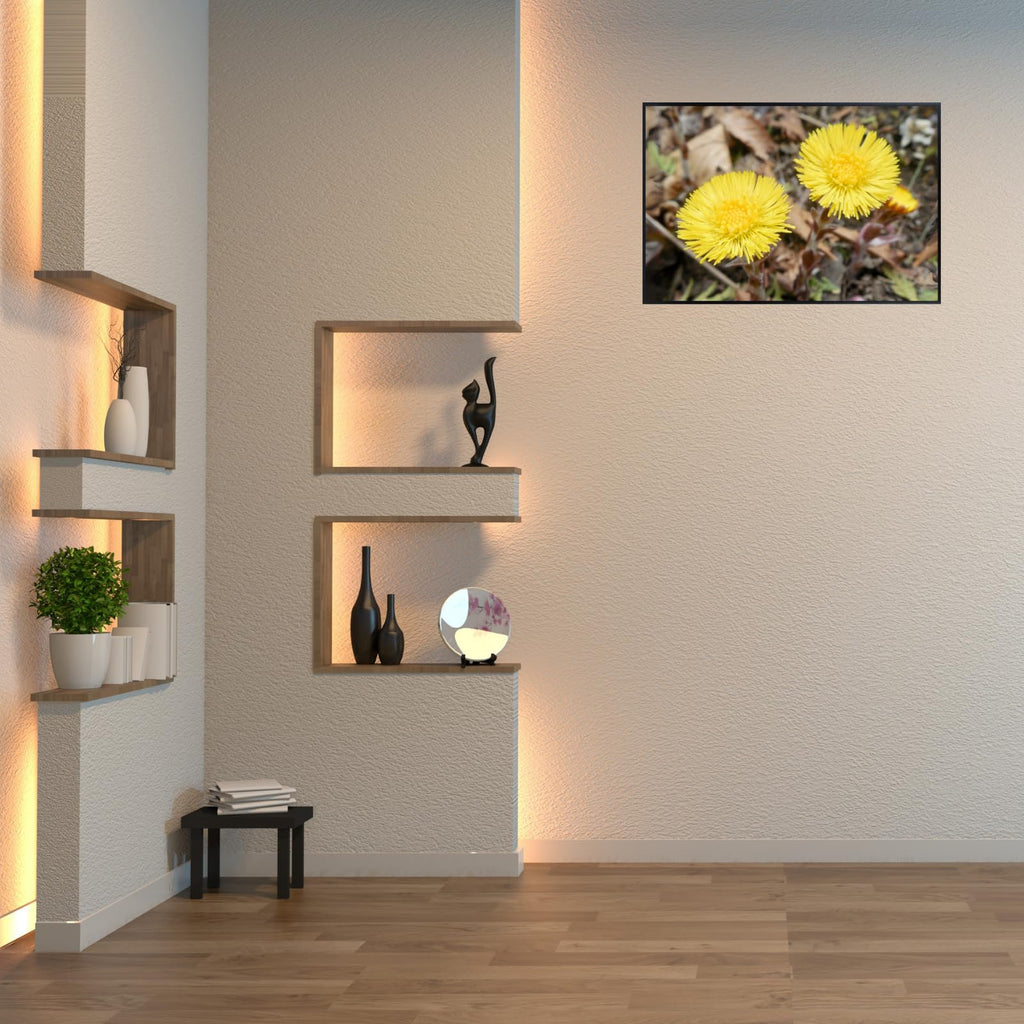 Coltsfoot Botanical Wall Art Poster | Natural Plant Illustration Home Decor Wall Art Print for Living Room, Bedroom & Office