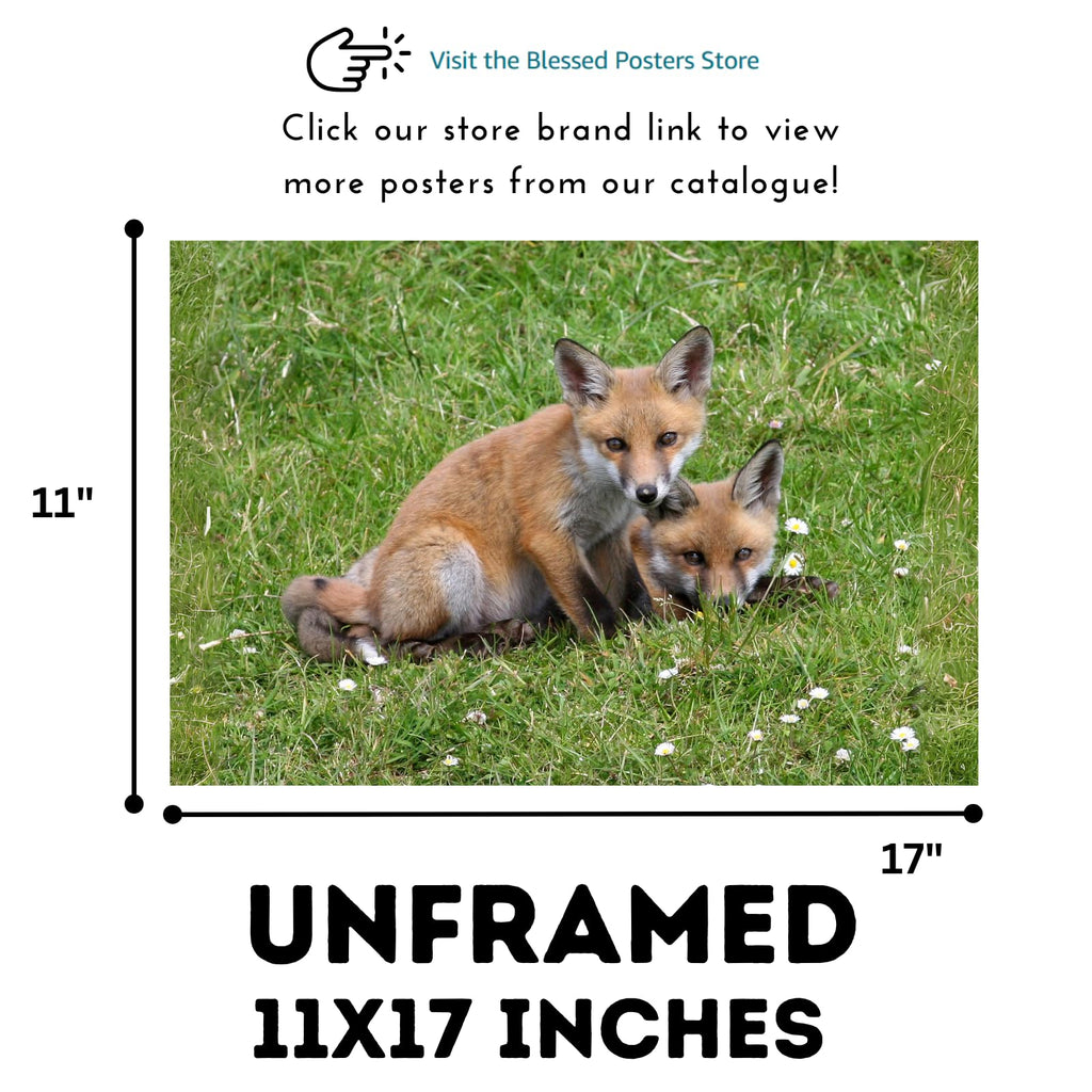 Wild Red Fox Wall Art – Nature Wildlife Poster Print for Bedroom, Living Room, Office, or Study Décor