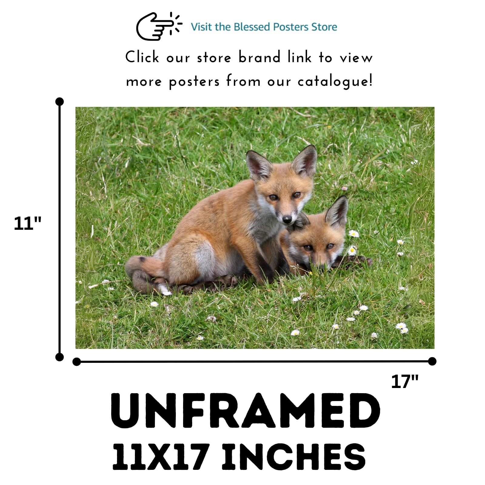 Wild Red Fox Wall Art – Nature Wildlife Poster Print for Bedroom, Living Room, Office, or Study Décor