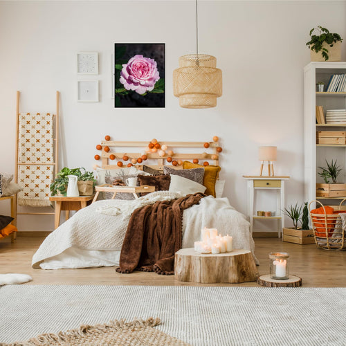 A Shropshire Lad Rose Poster – Peachy Pink Floral Wall Art for Home Decor, Botanical Art Print, Vintage Flower Artwork