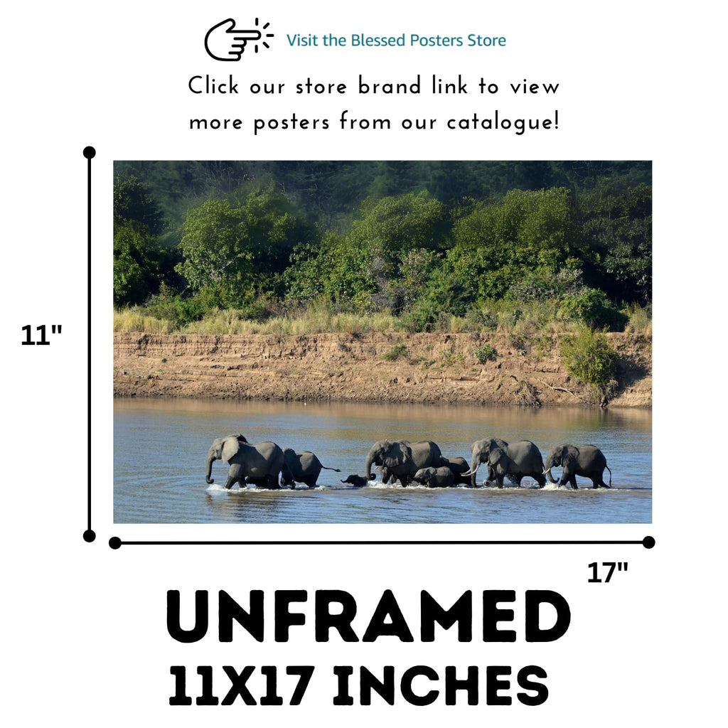 Loxodonta Africana Poster – African Elephant Wildlife Wall Art for Living Room, Bedroom, Office, or Study Décor