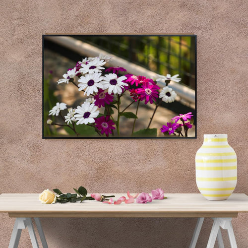 African Daisy Wall Art Poster – Botanical Flower Print for Home Decor, Aesthetic Floral Artwork, Nature-Inspired Room Decoration, Vibrant Botanical Wall Art for Living Room or Bedroom