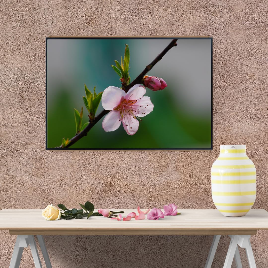 Peach Blossom Wall Art Poster – Botanical Flower Print for Home Decor, Nature-Inspired Floral Artwork for Living Room, Bedroom, or Office – Elegant Botanical Poster